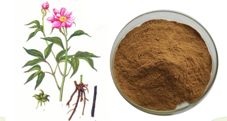 赤芍提取物 芍藥苷 廠家可定制生產 赤芍浸膏_植物提取物.