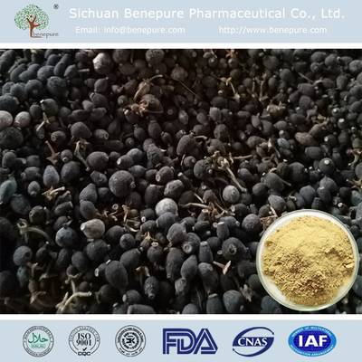 【橙皮甙,枳實提取物】價格,廠家,植物提取物