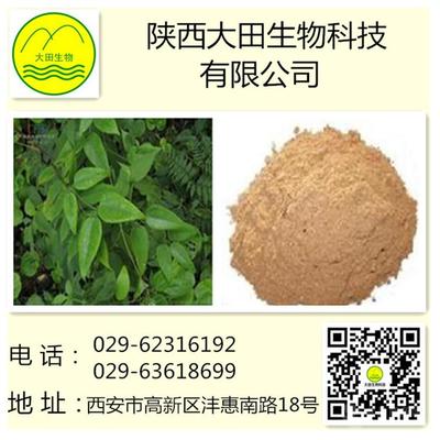 供應(yīng)威靈仙提取物 植物提取物
